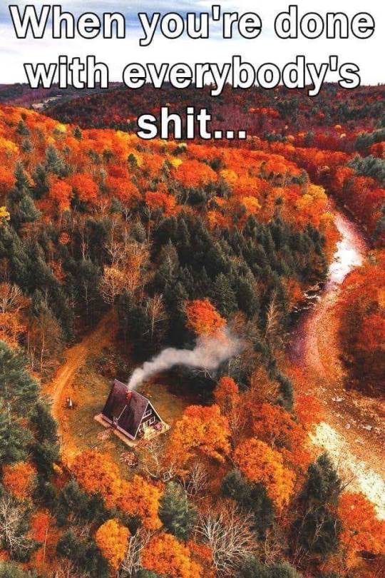 goballsdeep4u:  flowersnherhair33:  hisangelherdemon81:  Let’s go!!  Yessss  Exactly 😊
