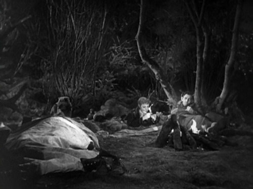 The Call of the Wild・ ・ ・Director: William WellmanDirector of Photography: Charles Rosher