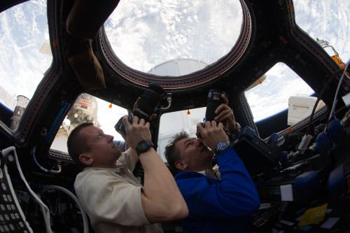 crossconnectmag:Views of Earth from the ISS  including AnimationThe International Space Station (ISS