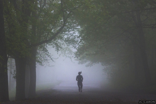 Brouillard épais ce matin à Montréal&hellip; Heavy fog this morning in Mont