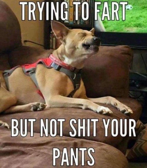 Porn So funny but true!  Couldnt stop laughing photos