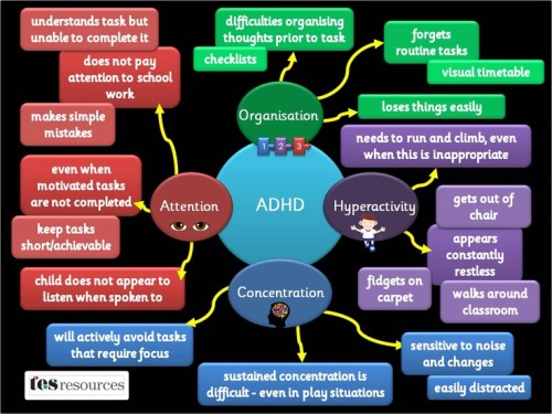 dyslexic-kids:  Many of you saw this when I originally posted it a few months ago, and it was incredibly popular. However, we have a lot of new people and I thought they might want to see it, as well.  Dyslexia is often accompanied by other conditions