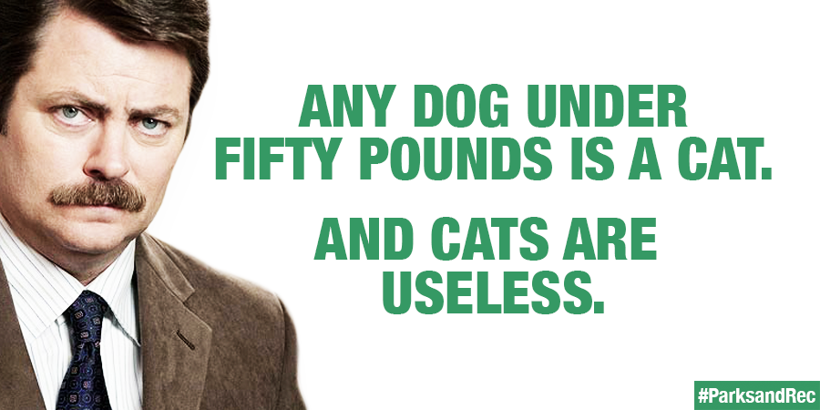nbcparksandrec:  Happy National Cat Day! 