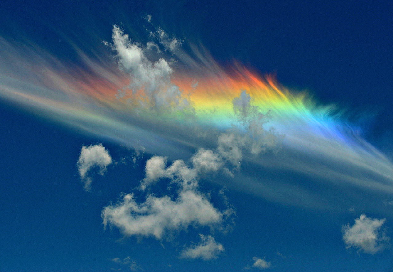 nubbsgalore:
“ circumhorizontal arcs photographed by (click pic) david england, andy cripe, del zane, todd sackmann and brandon rios. this atmospheric phenomenon, otherwise known as a fire rainbow, is created when light from a sun that is at least 58...