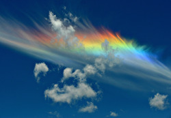 hisnotestoher:  nubbsgalore:  circumhorizontal arcs photographed by (click pic) david england, andy cripe, del zane, todd sackmann and brandon rios. this atmospheric phenomenon, otherwise known as a fire rainbow, is created when light from a sun that