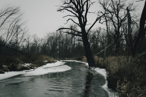 kitajgorod: the hexen swamp.