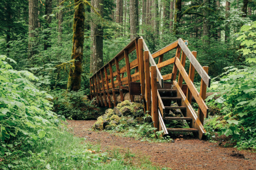 Location: Dry Creek - Cascade Locks, ORDate: June 15th, 2014