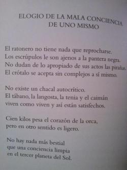 hachedesilencio:  Wisława Szymborska