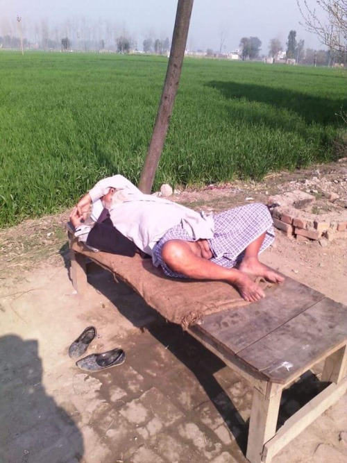 lundraja: Siesta…..