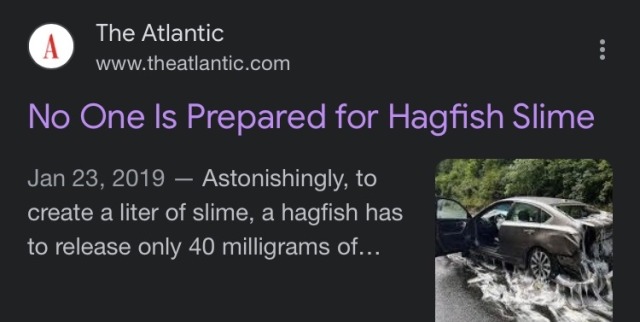 plaguedocboi:We’re gonna talk about hagfish today, since it is Their DayHagfish