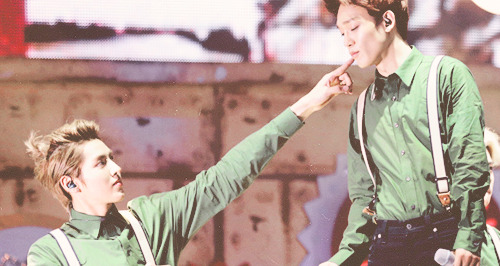 chentokki:  adorable krisdae &lt;3 ◕‿◕✿ 