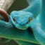 justsnekstuff