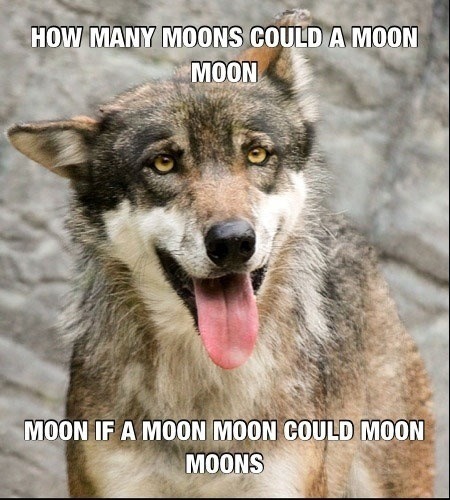 mishaswrath:  mspbandj:  alliejunestewart:  Moon Moon.  I miss Moon Moon can we bring