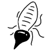 I Was In The Mood For Some Bug Doodles