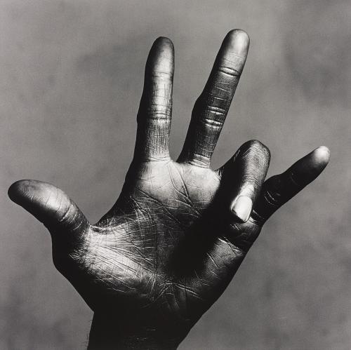 Sex xushima:  Irving Penn, The Hand of Miles pictures