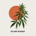 koffee-kush: