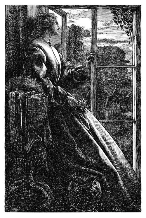 From my window.  Wood engraving by Joseph Swain, based on the artwork of Frederick Sandys, for 