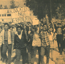 easybeat310:  Chicano Student WALKOUTS- March