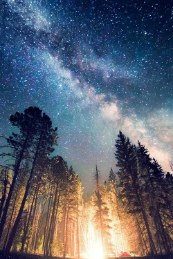 plasmatics:  Campfire by Knate Myers 