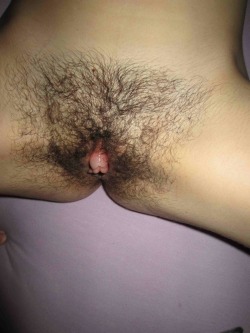 ifap-alot:  Hairy plump clitty…fap, fap