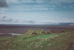 betomad:Auster-Skaftafellssysla, Iceland. photo by 	 	Thomas Luong Bavington 	 	 	 				 					 						 							 						 						 					 				 			 