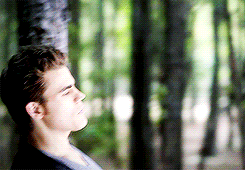 tomharly-blog: Stefan Salvatore Alphabet - Fabulous