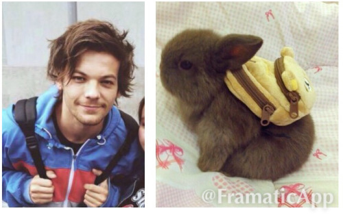 sweather-kitten-lou:  shippity-do-da:  This is same no?  🍥  I see no difference