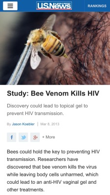 markliddell:  coffeeandcockatiels:  beetimesboo:  crosswordenthusiasts:  ohhenryd:  bluesunspots:  nothingbutaduckling:  IF THIS IS THE CURE I FEEL REALLY BAD FOR HIV POSITIVE PEOPLE WHO ARE ALLERGIC TO BEES  BEEES  BEES???  HEY LOOK MORE REASONS TO SAVE