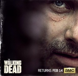 sanjamac:  TWD Season 6B Poster - More tomorrow!