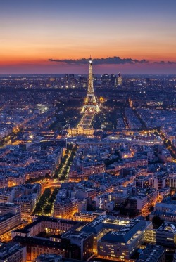 0ce4n-g0d:  Paris from the Montparnasse by H. J. Herrera 