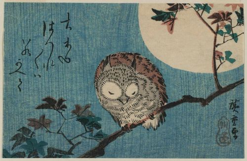 dappledwithshadow:Utagawa Hiroshige: Small Horned Owl on Maple Branch under Full MoonEdo Period