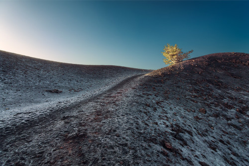 natushi12: sicily II by Lukas Furlan