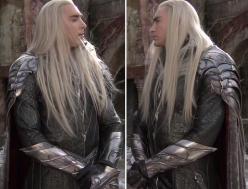 King Thranduil admiring himself.  *nice hair* *tnx bro. same*