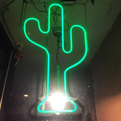 #neon
#cactus (at Boston, Massachusetts)