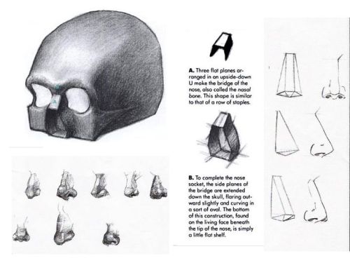 Sex anatoref:  Portrait Drawing  pictures