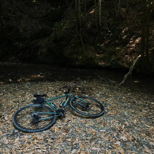 keisukeohashi: #kyoto #cycling #gravel #konabikes #konarove #wtb 片道10km、どこにも抜けられない道やけど、車もバイクも来ないオフロー