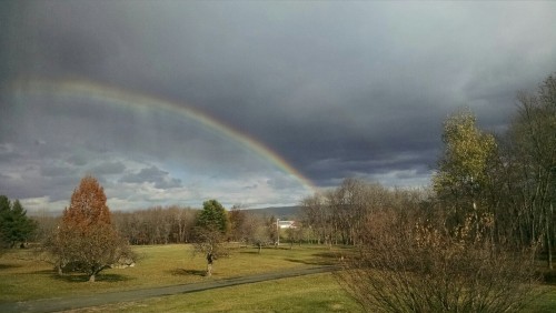 Quadruple Rainbows (2015) By Savvy Cornett  Hampshire College, Amherst, MA