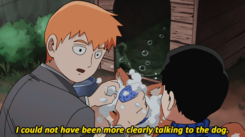 beif0ngs:  please get Reigen a dog porn pictures