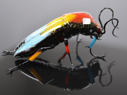 trulyvincent:  Glass Insects by Wesley Fleming