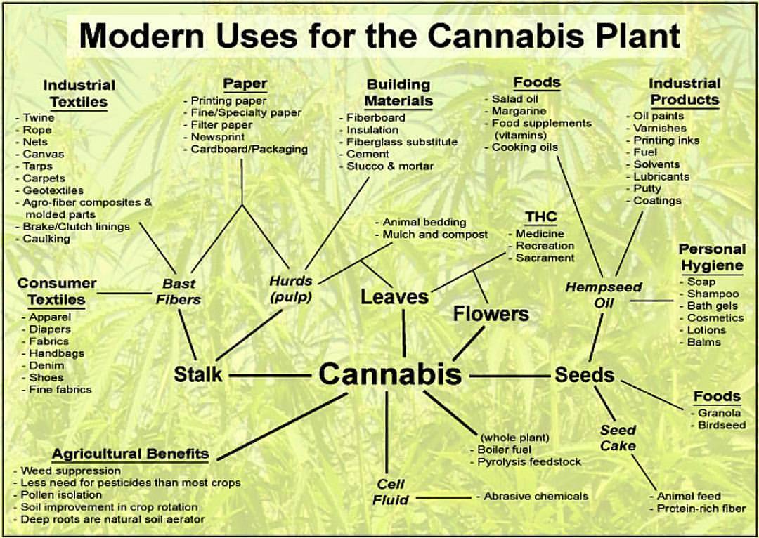 6weedgod:  The Uses of Cannabis #6WeedGod #Toronto #6ix #cannabislife #weed #smoke