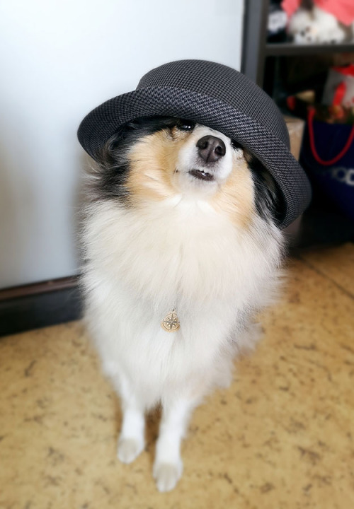 - Sir?