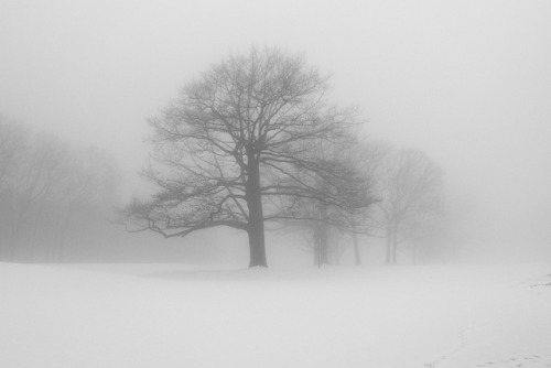 Porn photo just-breezy:  Snow Fog by ~EvidencE~ 