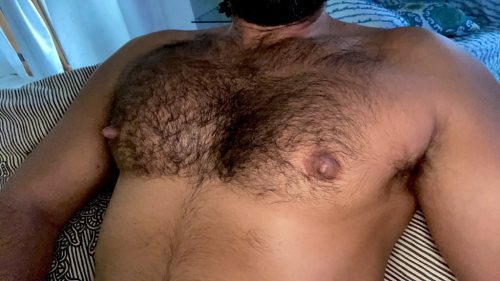 It’s all about the fur . . . . . . . . . . . #hairychest #hairy #chestday #chestpump #nipples #nipp