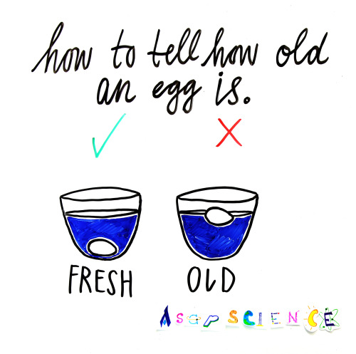 How To Tell How Old An Egg Is.