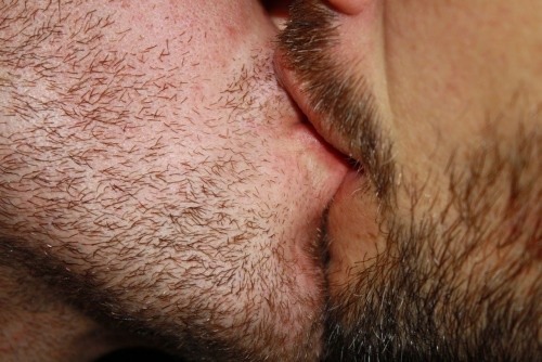 tumblr photo searchsebastian 29