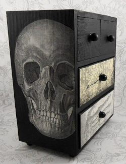 skullspiration:  Skull Vintage Jewelry Box