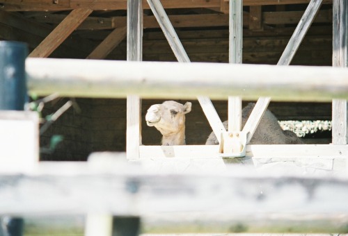 平川動物公園