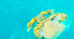 wearyvoices:  Guard the boat, mind the tide… don’t touch my dirt. 