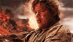 dontlookbackcarl:  The Middle Earth Meme Three Heroes [1/3] → Samwise Gamgee  &ldquo;The