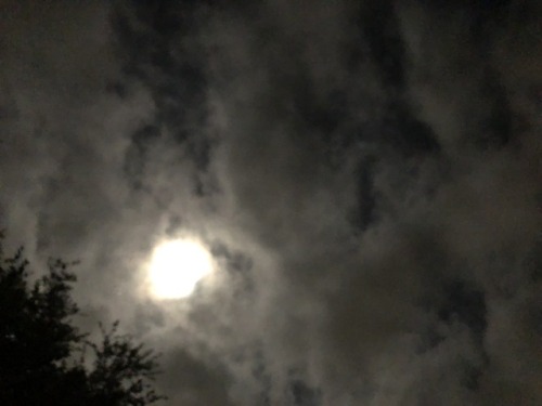 Some Pictures I took of the moon tonight 6/15/19